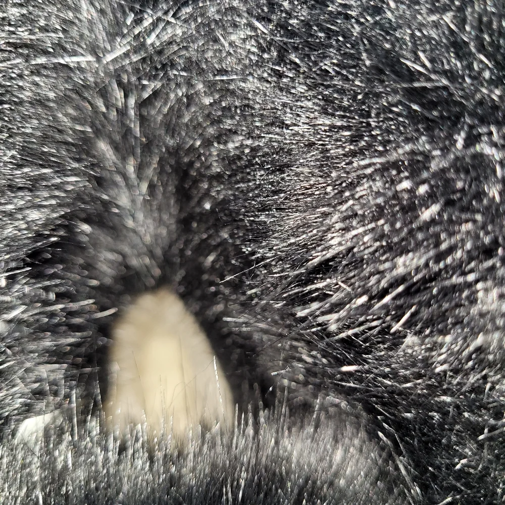 UGG Black Winter Boots - Picture 5 of 11